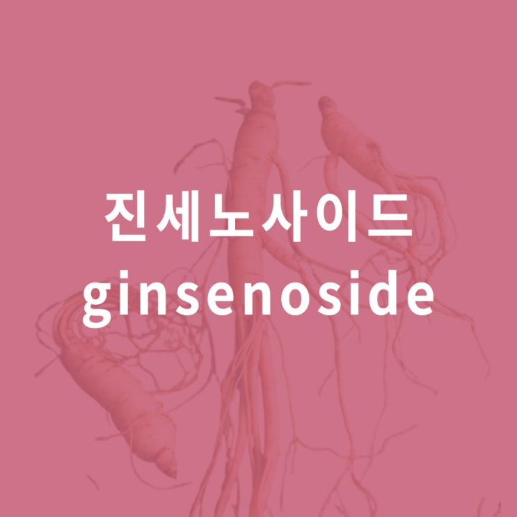  진세노사이드 (인삼 사포닌) : 효능, 함량, 홍삼 성분