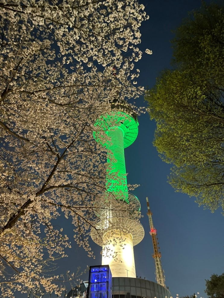 남산타워 벚꽃/단풍 산책 코스추천::<b>남산남측순환로</b>||국립극장... 