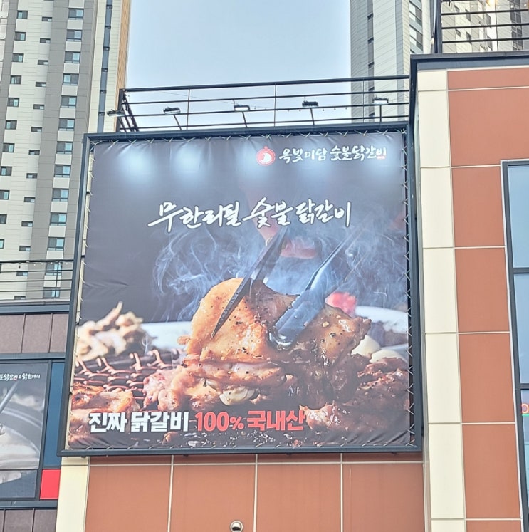  옥정 무한리필 숯불 닭갈비 옥빛미담 / 소주 생맥주 무한리필 실화야??(옥정 중앙공원 맛집)