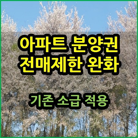  아파트 분양권 전매 제한 완화 소급 적용