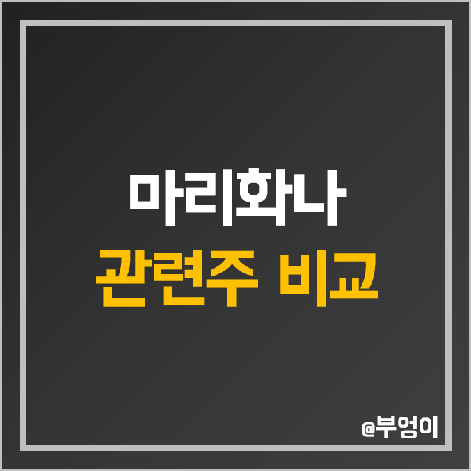 국내 마리화나 대마 관련주 비교 : 비엘팜텍 메디콕스 EDGC 한국비엔씨 화일약품 우리바이오 오성첨단소재 세토피아 애머릿지 아이큐어 엔에프씨 주식 주가 PER PBR 배당금 순위