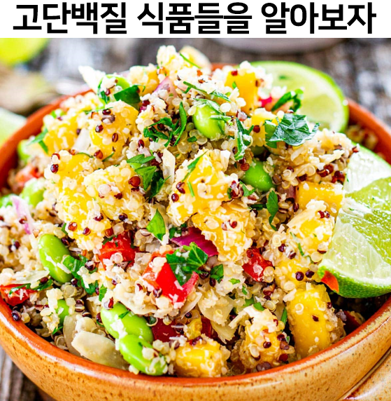  고 단백질 식품들을 알아보자