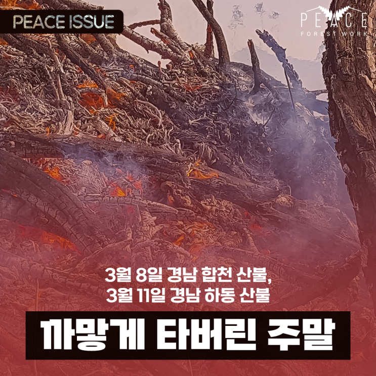  까맣게 타버린 주말 | 경남 합천 산불, 경남 하동 산불