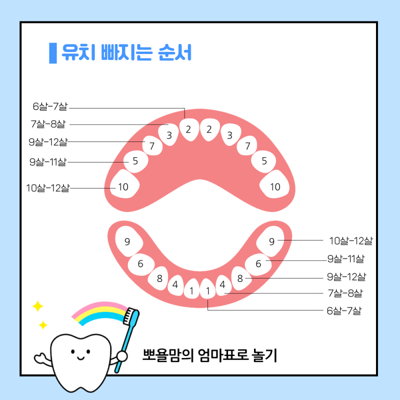 우리 아이 유치 빠지는 순서 및 보관 방법은? : 네이버 블로그