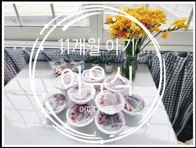  11개월 아기 이유식 배냇밀로 편하게 챙기고 있어요