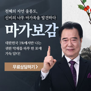  울릉도 신비의 나무 마가목&엉겅퀴! 배우 임혁 마가보감 가격 효과 후기!!