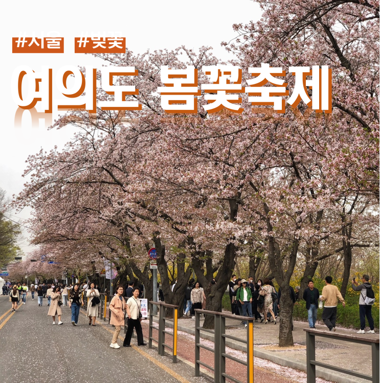 영등포 여의도봄꽃축제 (ft. 운영시간 / 위치)