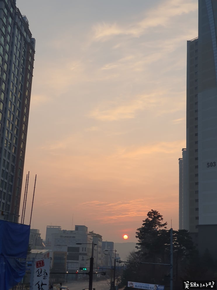  2023 02 05 - 11 사진 일기