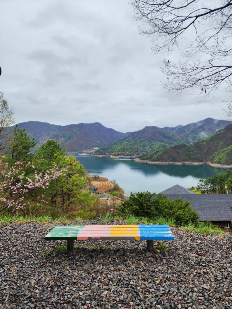 충주 신축 계명산자연휴양림 숲속의집 무궁화 1박 2일. 산림치유센터 프로그램 치유의숲 가....