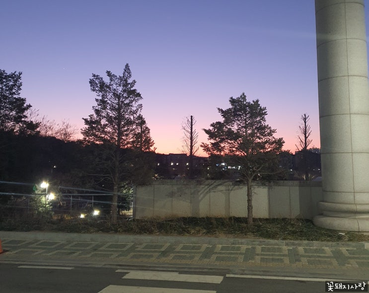  2023 01 22 - 28 사진 일기
