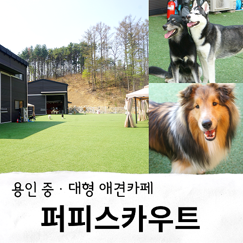 사진 9