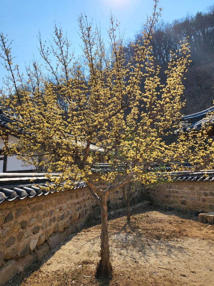 노래호 사진 4