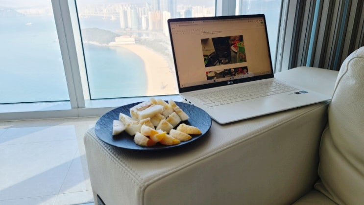  빈티지 명품 유리그릇 빌레로이앤보흐 매뉴팩처락 접시 세트 예쁜 디저트접시 제격