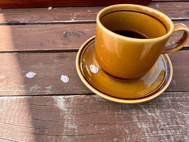 따뜻한 봄날 강아지와 커피 한잔 - 요유나 커피