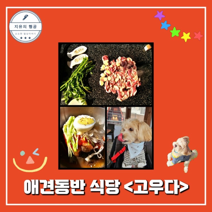  가평 애견동반 식당 <고우다> 청평호 뷰 맛집 내돈내산
