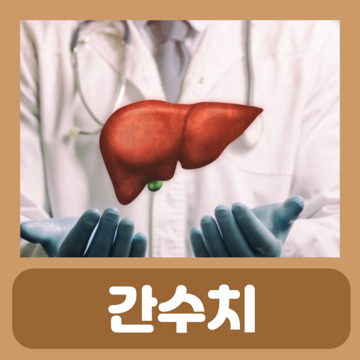  AST ALT 수치 ALP GGT GTP 감마지티피 수치 : 정상 간수치 높을때 증상 낮추는법 높은이유 정상범위 간수치가 높은이유