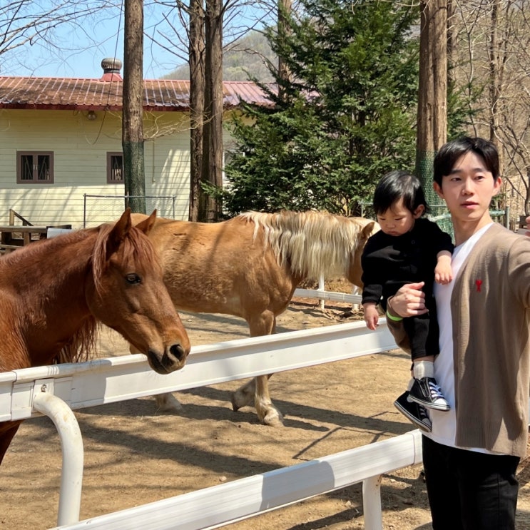  한터 조랑말 농장 농원 용인 아기랑 갈만한 곳 추천