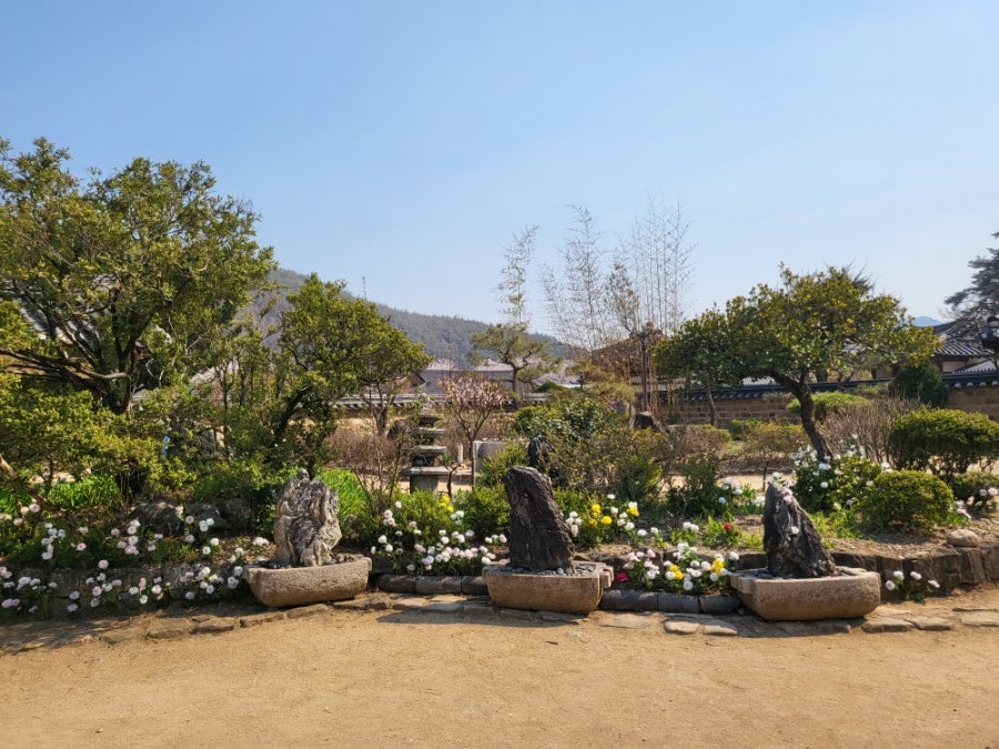 노래호 사진 1