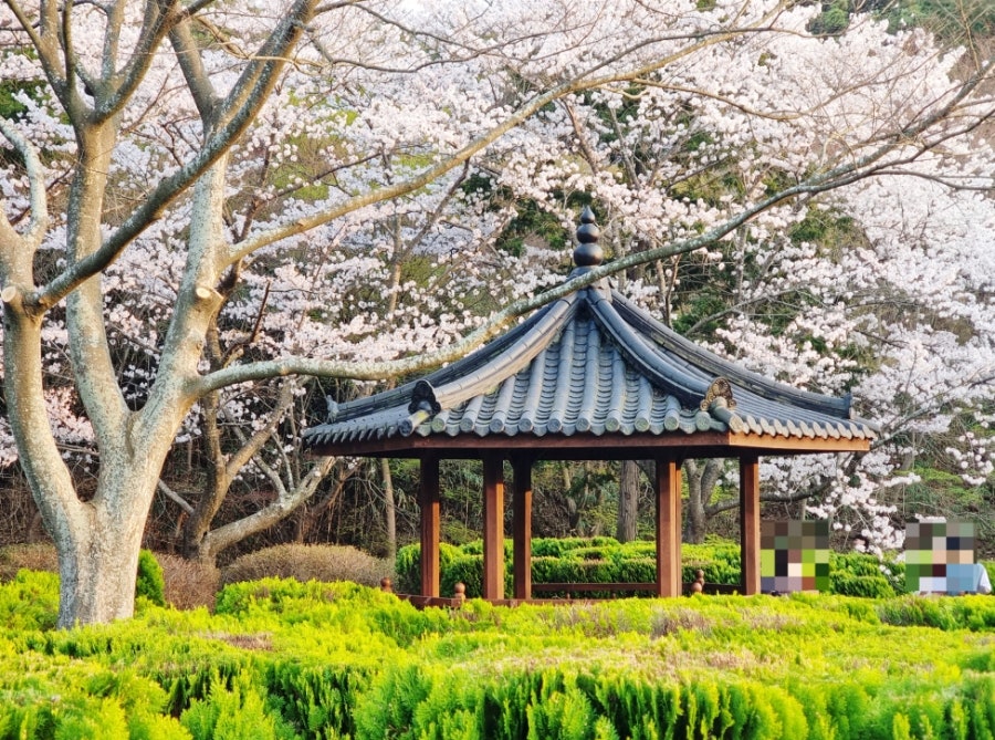 작은영토 사진 2