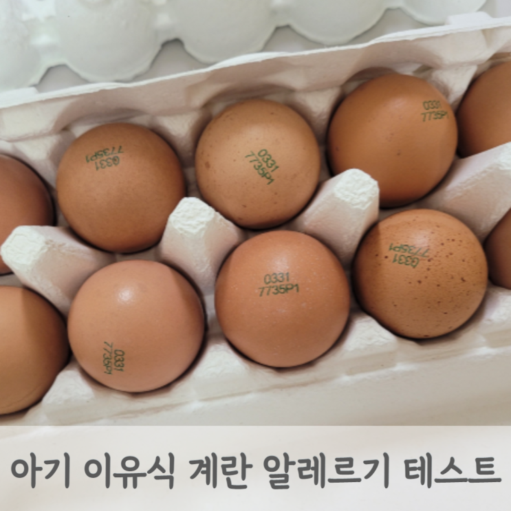 아기 이유식 계란 언제부터? 노른자 흰자 계란 알레르기 테스트 방법과 주의사항