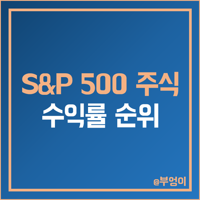 미국 S&P 500 지수 주식 올해 수익률 순위 (엔비디아 메타 페이스북 CRM 테슬라 AMD 주가 흐름)