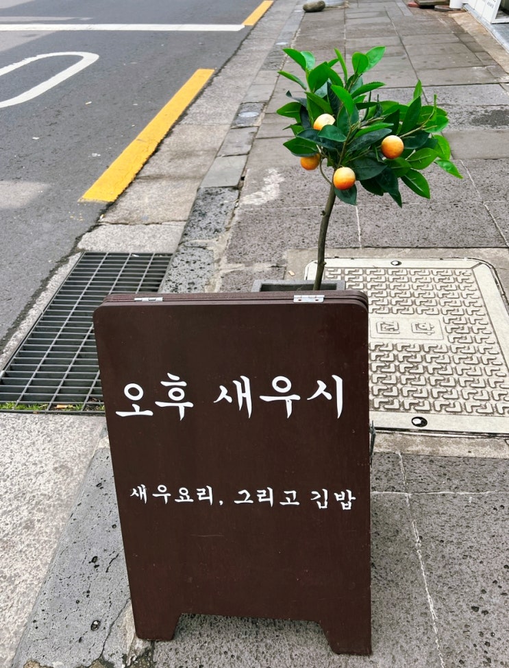  제주도 서귀포시 중문 오일 시장 김밥 맛집 오후 새우시