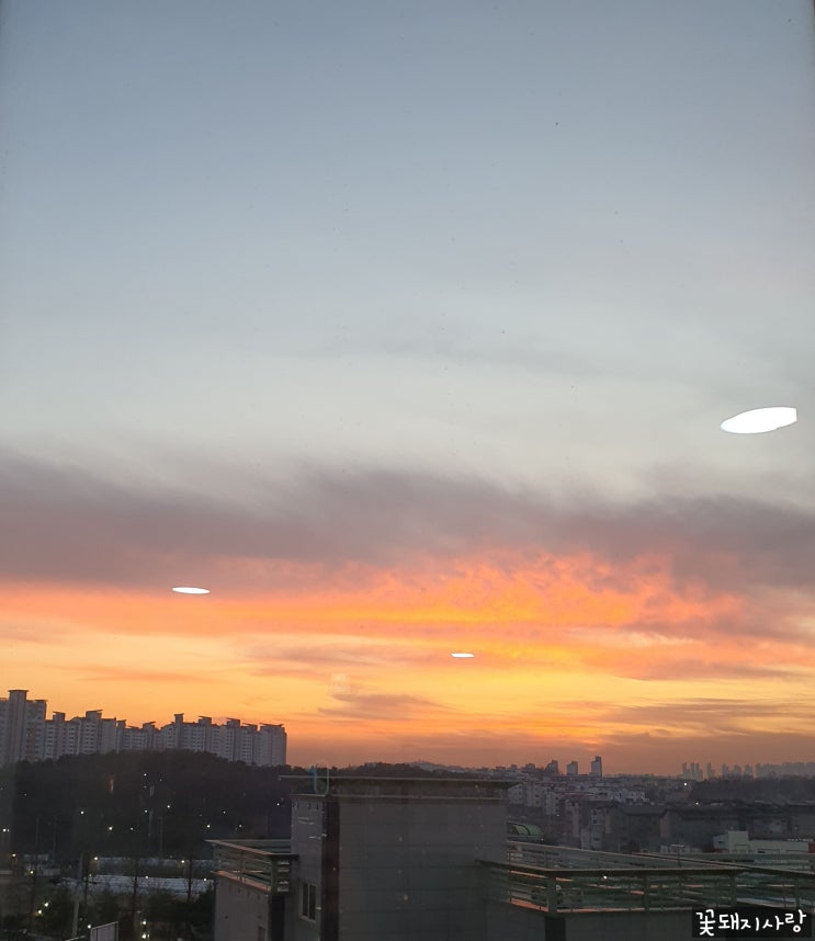  2023 01 08 - 14 사진 일기