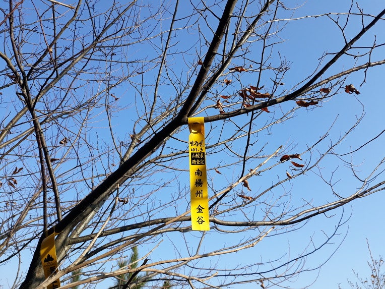 가암산 사진 4