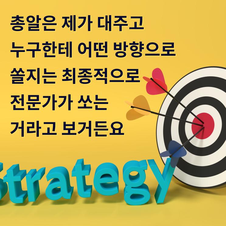 [대전이혼전문변호사] 총알은 제가 대주고 누구한테 어떤 방향으로 쏠지는 최종적으로 전문가가 쏘는 거라고 보거든요