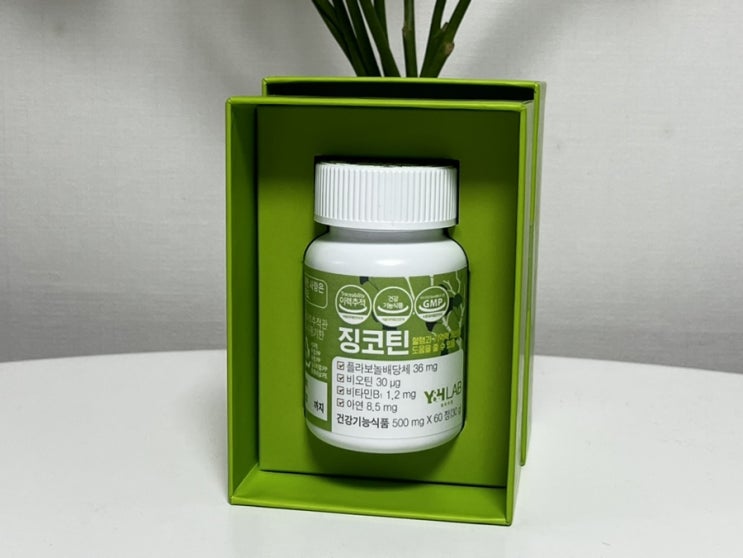 기억력 개선 부모님선물 장영양제 와이치랩 징코틴 기억력 개선 부모님선물 장영양제 와이치랩 징코틴