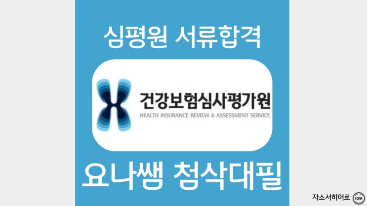  건강보험심사평가원 자소서 작성법, 심평원 자기소개서 항목, 합격 자소서 가이드, 첨삭대필 비용