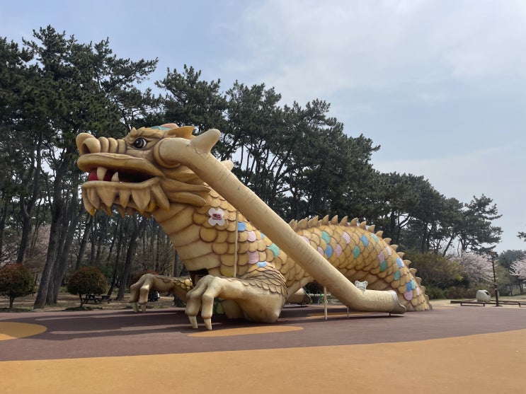  울산 대왕암 공원 벚꽃 산책 & 출렁다리