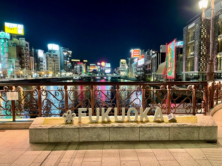 2023년 4월 둘째 주, 쩝쩝박사 요니의 일상 2023년 4월 둘째 주, 쩝쩝박사 요니의 일상