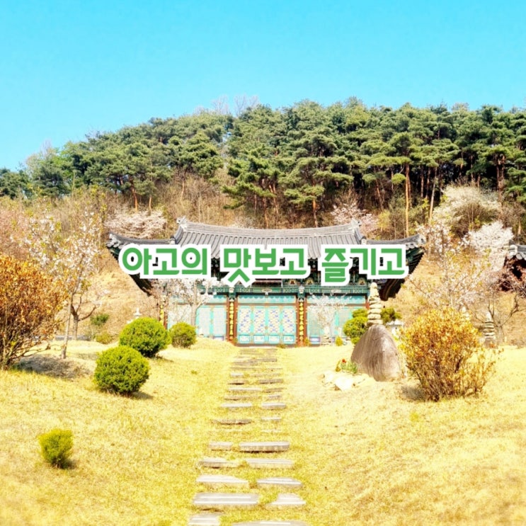  아고의 맛보고 즐기고~ 국내여행 W14