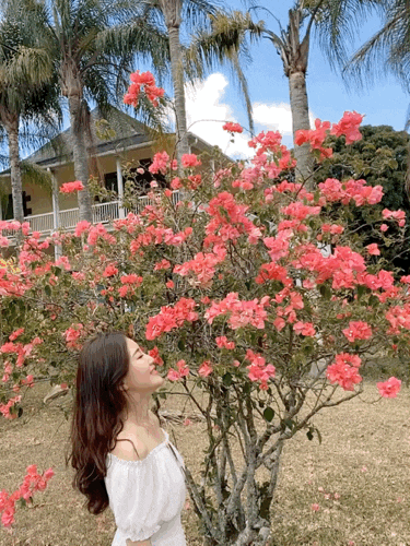  블로그씨 :: 아름다운 봄꽃 놀이 영상을 공유해 주세요!