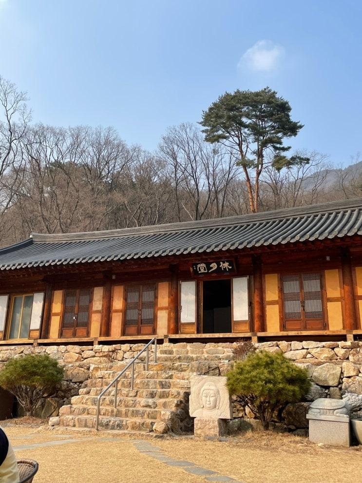 서울 인근 양평 용문사 <b>템플스테이</b> (<b>전현무 템플스테이</b>)