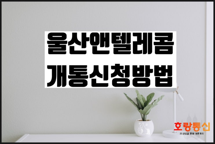 울산앤텔레콤 빠르게 개통하는 두 가지 방법