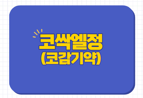  코감기약 코싹엘정 효능 부작용 복용법