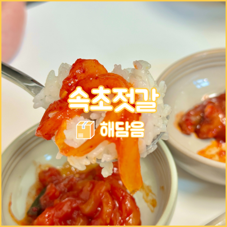  맛있는 자취생 밑반찬으로 딱인 해담음 속초젓갈