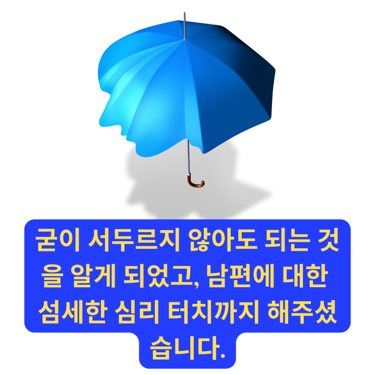 [대전이혼전문변호사] 굳이 서두르지 않아도 되는 것을 알게 되었고, 남편에 대한 섬세한 심리 터치까지 해주셨습니다.