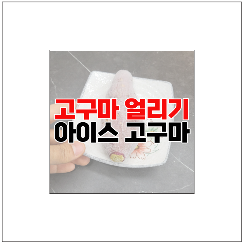 찐고구마 삶은고구마 냉동 냉장 보관 얼리기 냉동고구마 해동 아이스 군고구마 간단해