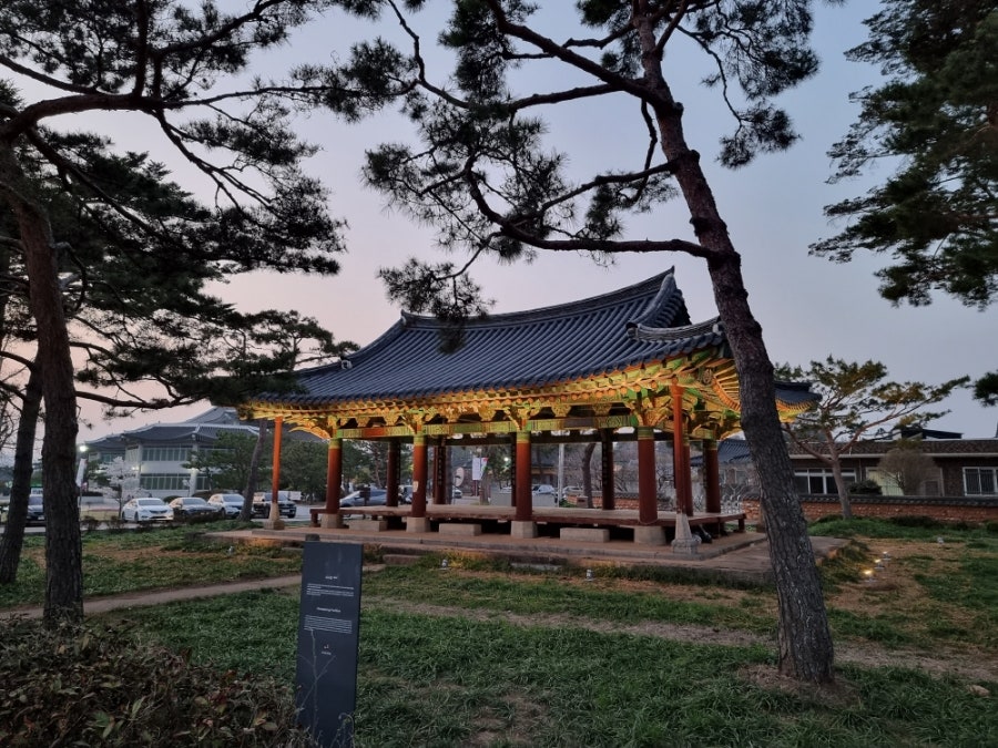 작은영토 사진 5