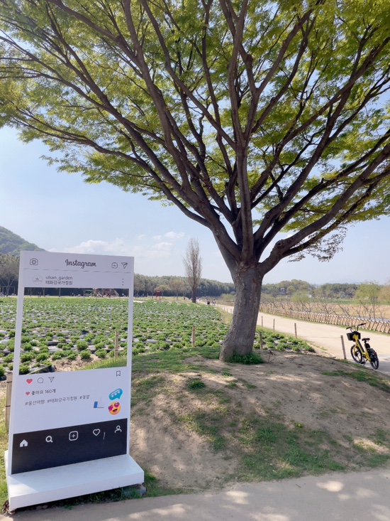  울산여행 울산태화강국가정원 : 울산국가정원 아들의 주말일기 풍경맛집