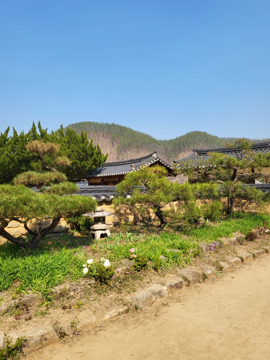 노래호 사진 2