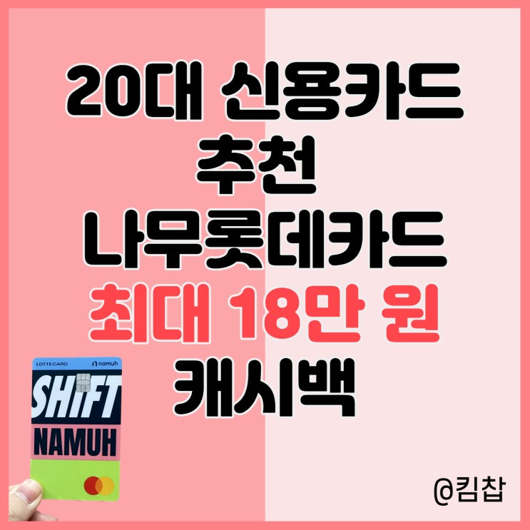  20대 신용카드 추천 캐시백 받아 나무증권 해외주식투자 가능한 나무롯데카드