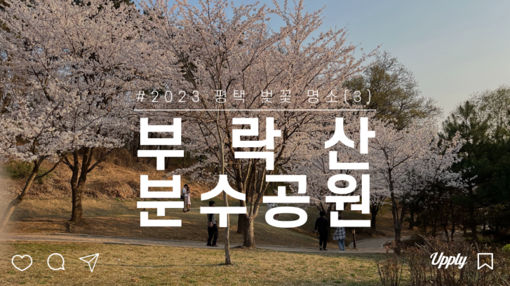  평택 송탄 부락산 분수공원 벚꽃 명소 산책하기 좋은 곳