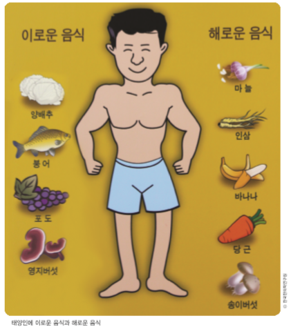  태양인과 금체질에 맞거나 해로운 음식들(이제마, 권도원, 주석원, 이상원, 류주열 5인)