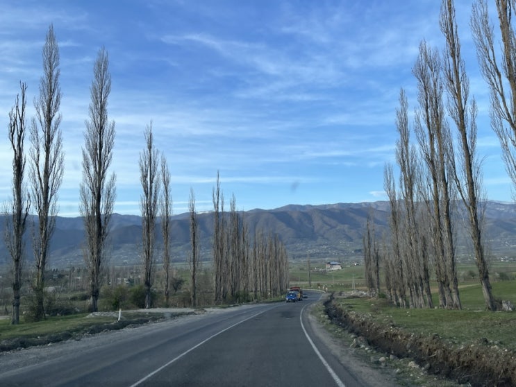  Ways to make long drives more meaningful