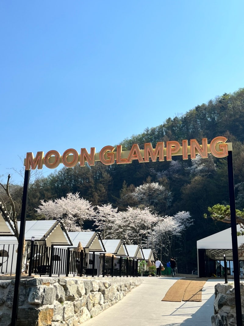대전 글램핑장, 사계절 수영장 있는 대전 문글램핑(MOON GLAMPING) : 네이버 블로그