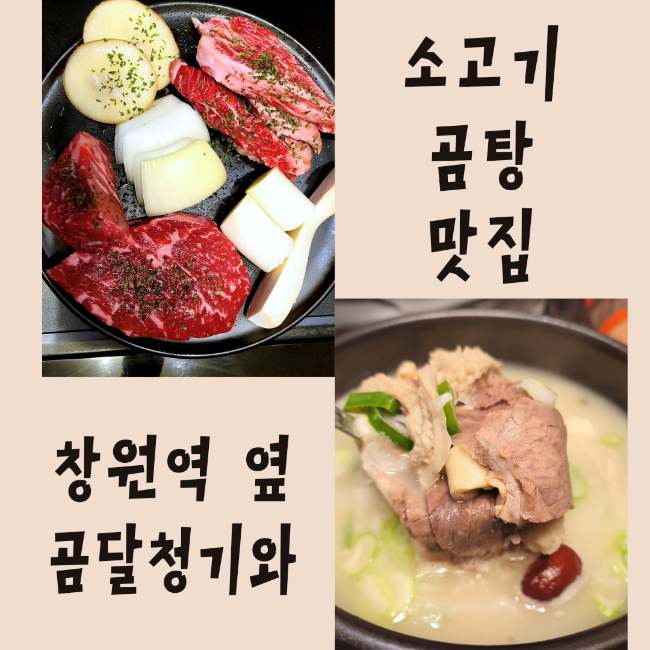 창원 팔용동 동정동 소계동 창원역 맛집 :: 곰달청기와 소고기와 곰탕